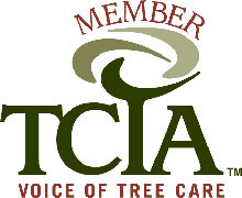 Affordable Tree Care - TCIA Voice of Tree Care