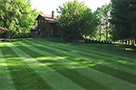 Turf Fertilizer Application in Late Fall - Affordable Tree Care